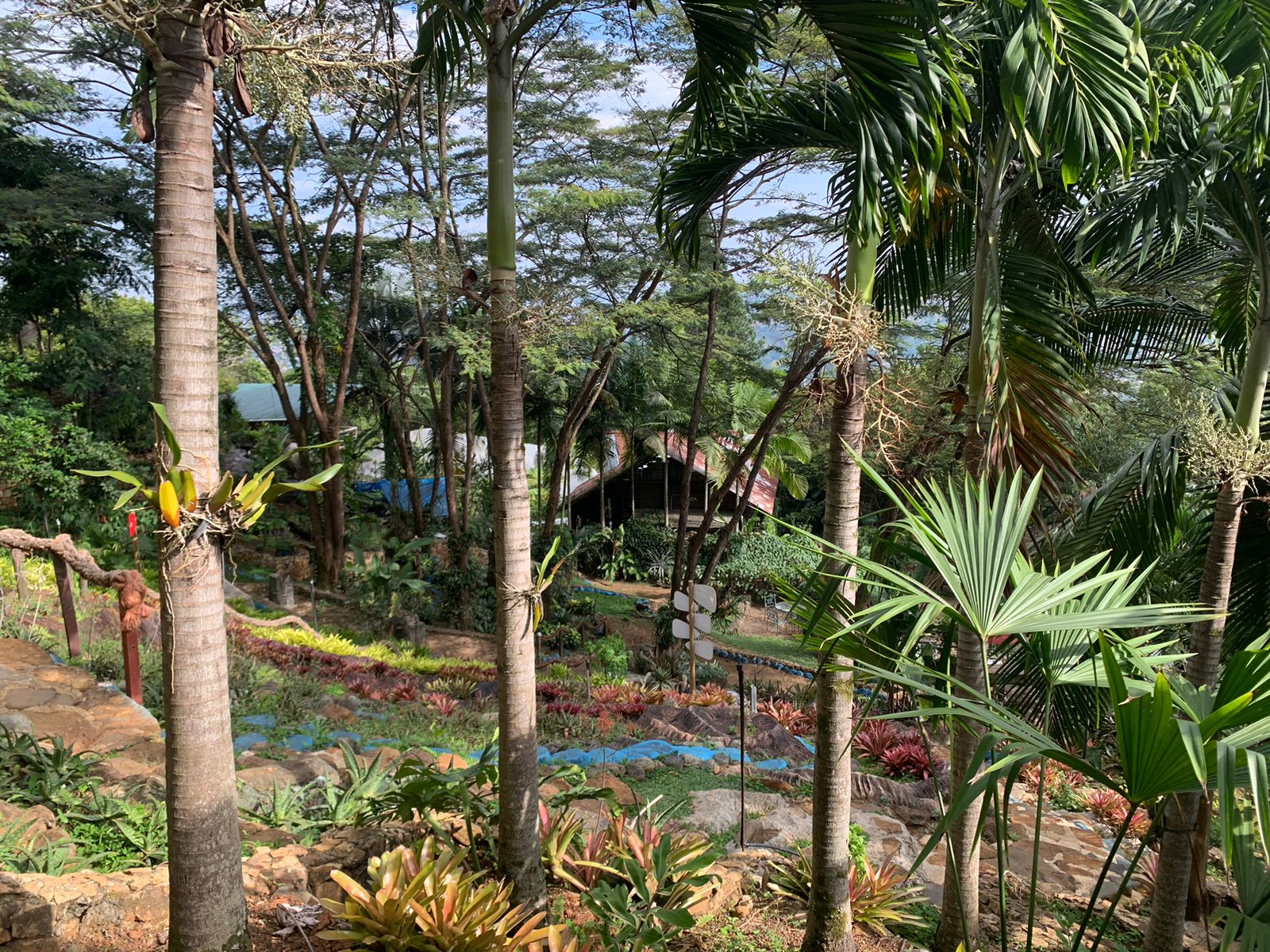 Fundación Zoocriadero de Mariposas Andoke