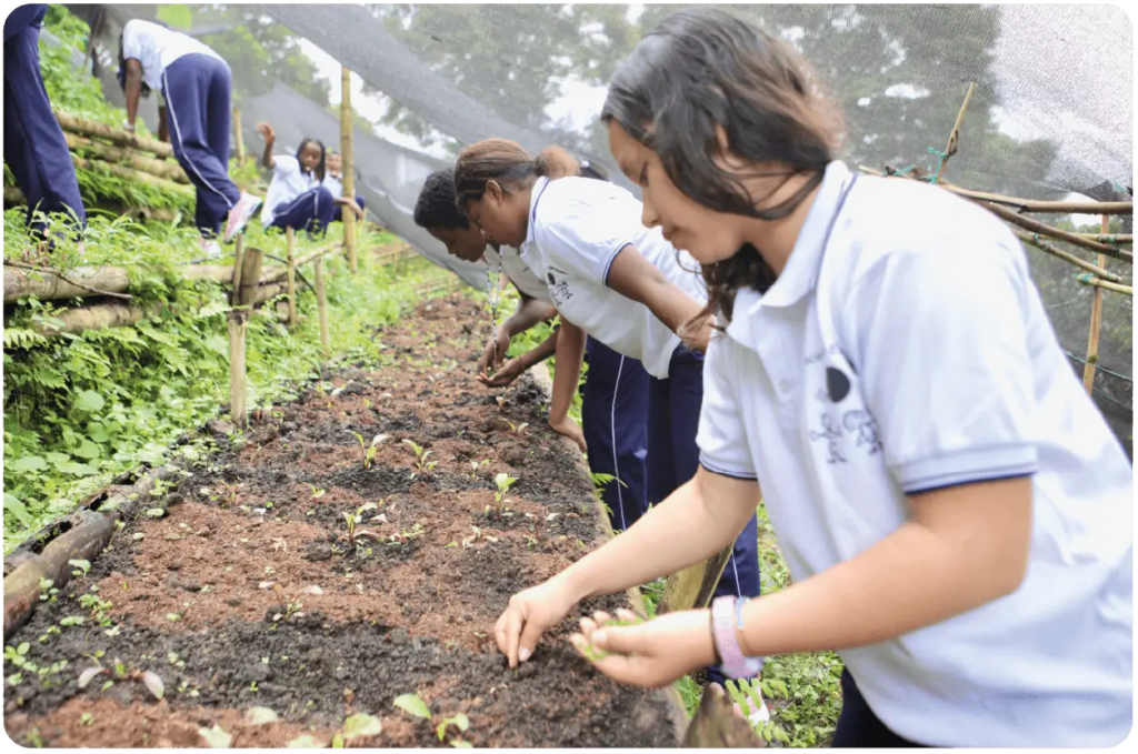 Fundación Dar Esperanza