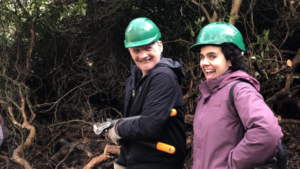 Lee más sobre el artículo Match and Mentor