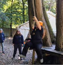 Hertfordshire Scouts Activity Centres